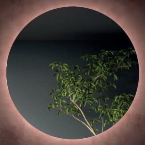 MOON 800 MIRROR 83963