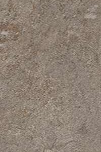 QUARTZ ESSENCE WILD 10X60 MATT RT R10