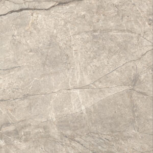 ANIMA FUTURA AMAZING SILVER 120X120 LUC