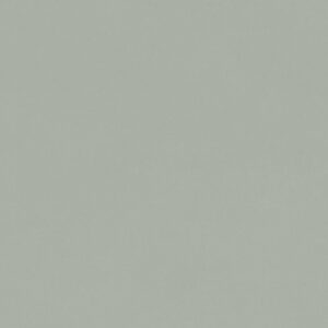 CHROMATIC SALVIA 33.3X100 NAT