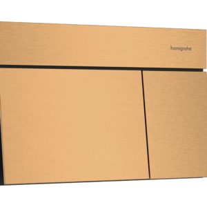 IFRAME ELEMENT E FLUSH PLATE FOR DUAL FLUSH 66003140